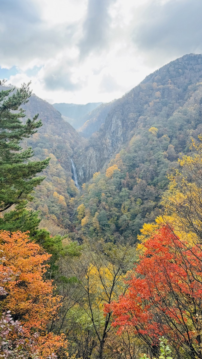 紅葉に染まる渓谷と滝