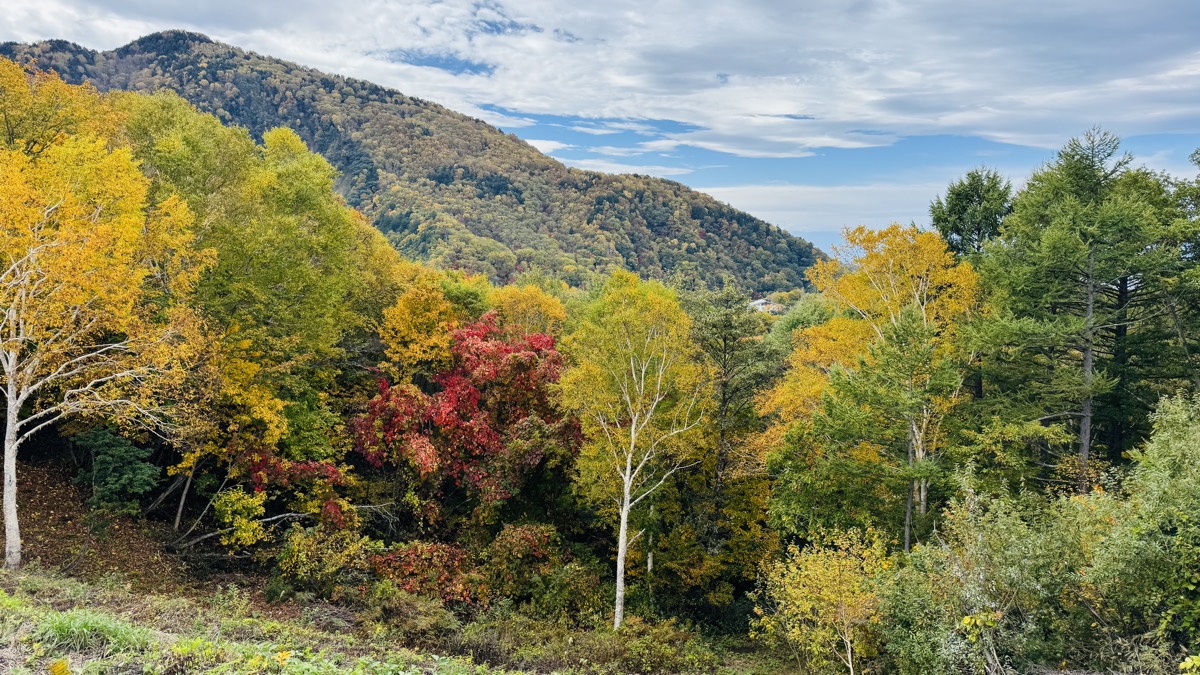 紅葉に色づく志賀高原の山々
